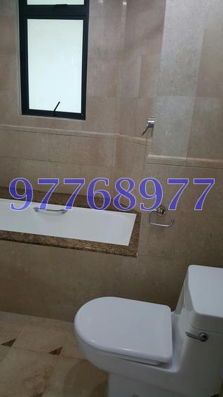 Valley Park (D10), Condominium #107094862